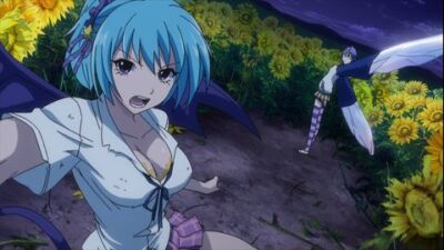 Rosario Vampire Kurumu
