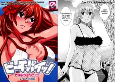 DOA Kasumi pregnant hentai manga